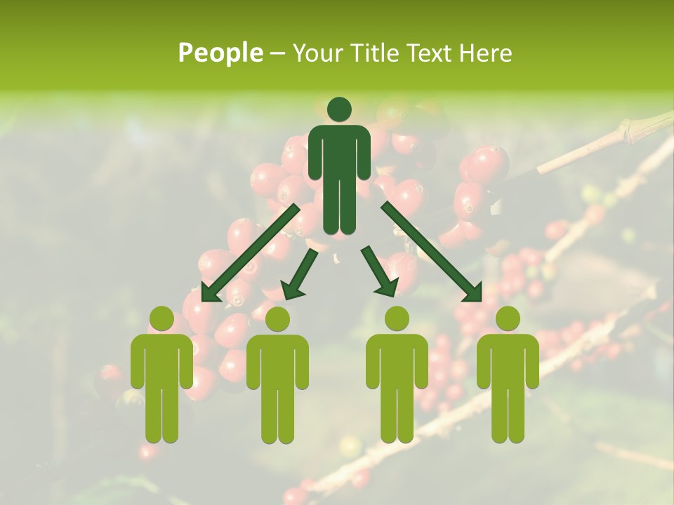 Philippines Nature Sand PowerPoint Template