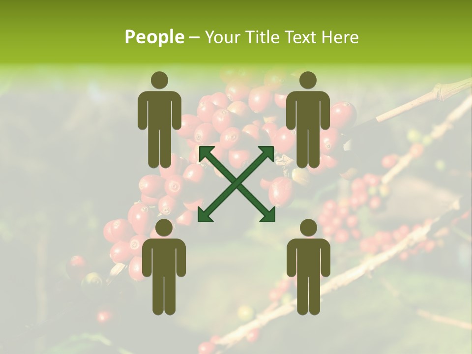 Philippines Nature Sand PowerPoint Template