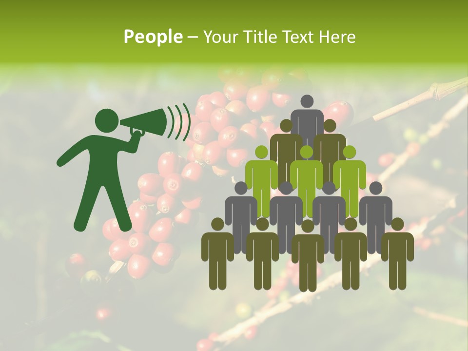 Philippines Nature Sand PowerPoint Template