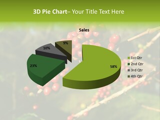 Philippines Nature Sand PowerPoint Template