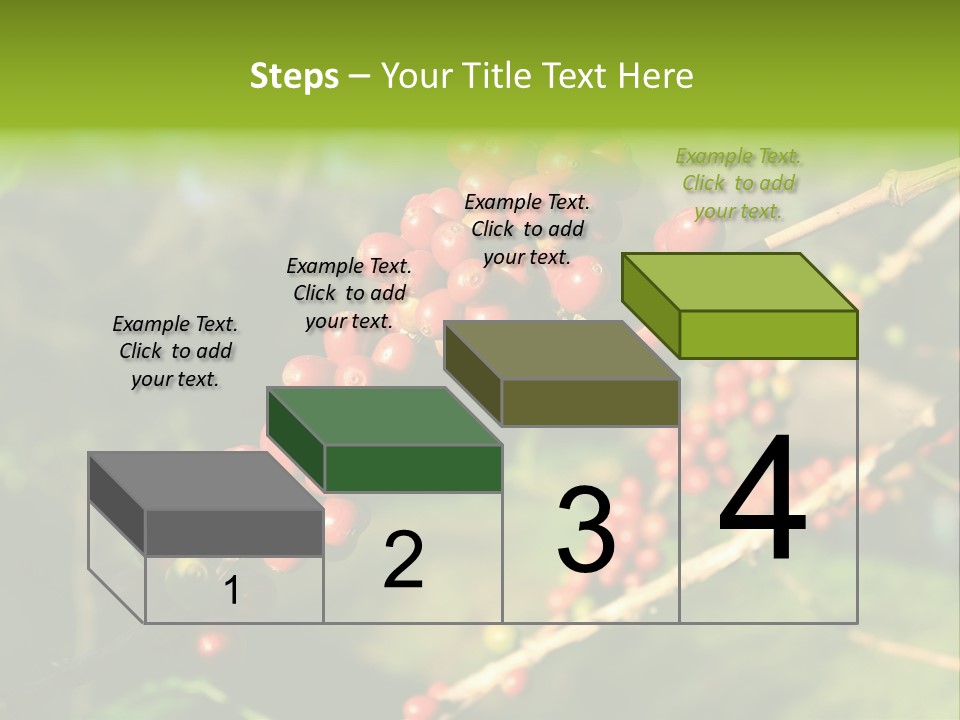 Philippines Nature Sand PowerPoint Template