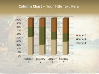 Philippines Nature Sand PowerPoint Template