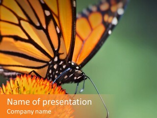 Garden Nature Closeup PowerPoint Template