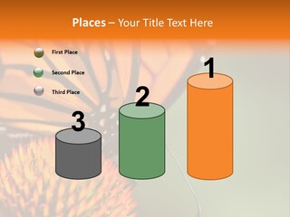 Garden Nature Closeup PowerPoint Template