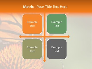 Garden Nature Closeup PowerPoint Template