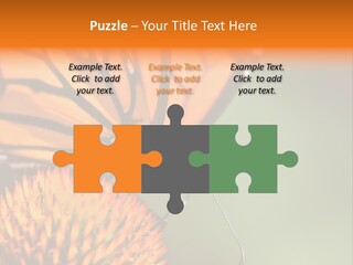 Garden Nature Closeup PowerPoint Template