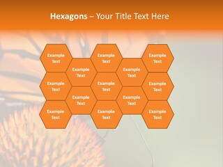 Garden Nature Closeup PowerPoint Template