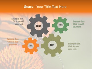 Garden Nature Closeup PowerPoint Template