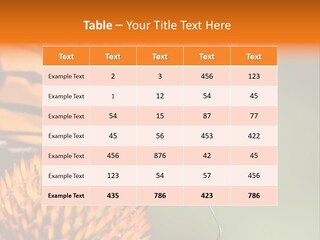 Garden Nature Closeup PowerPoint Template