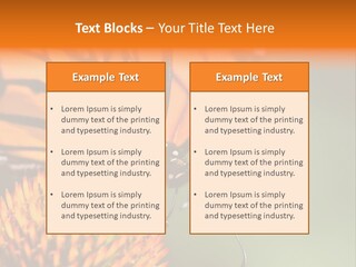 Garden Nature Closeup PowerPoint Template
