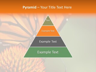 Garden Nature Closeup PowerPoint Template