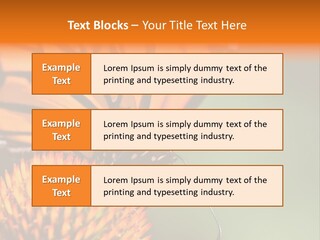 Garden Nature Closeup PowerPoint Template