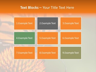 Garden Nature Closeup PowerPoint Template