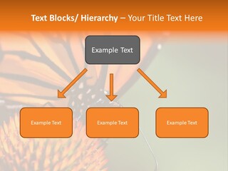 Garden Nature Closeup PowerPoint Template