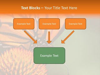 Garden Nature Closeup PowerPoint Template