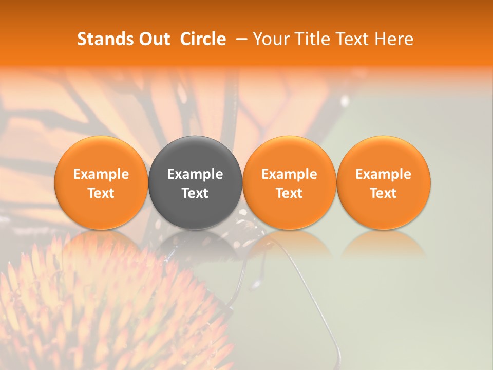 Garden Nature Closeup PowerPoint Template