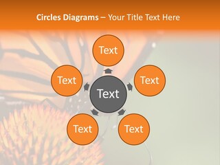 Garden Nature Closeup PowerPoint Template