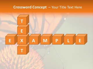 Garden Nature Closeup PowerPoint Template