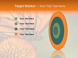 Garden Nature Closeup PowerPoint Template