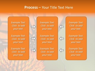 Garden Nature Closeup PowerPoint Template