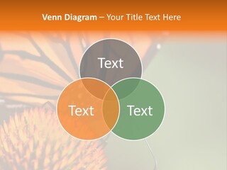 Garden Nature Closeup PowerPoint Template