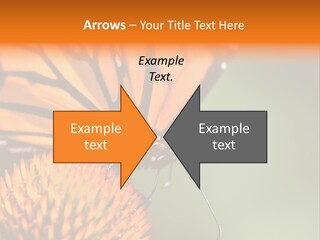 Garden Nature Closeup PowerPoint Template