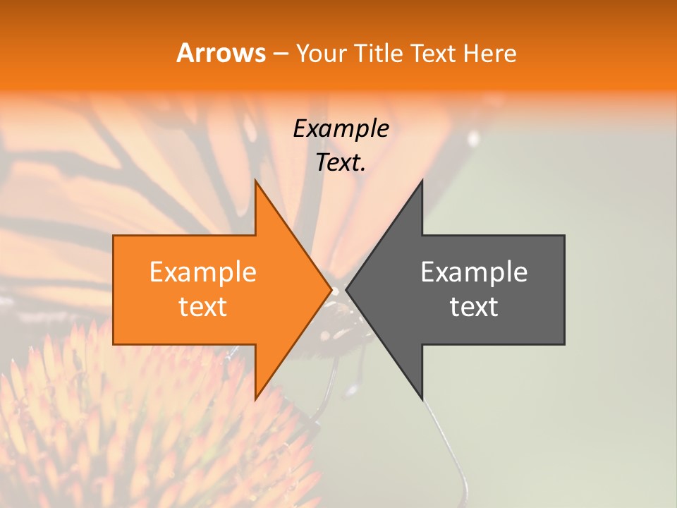 Garden Nature Closeup PowerPoint Template