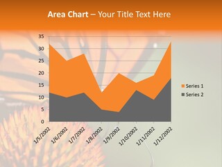 Garden Nature Closeup PowerPoint Template