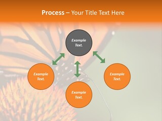 Garden Nature Closeup PowerPoint Template