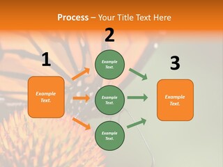 Garden Nature Closeup PowerPoint Template