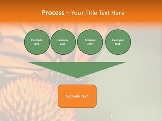 Garden Nature Closeup PowerPoint Template