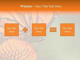 Garden Nature Closeup PowerPoint Template