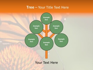 Garden Nature Closeup PowerPoint Template
