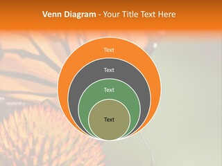Garden Nature Closeup PowerPoint Template