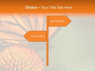 Garden Nature Closeup PowerPoint Template