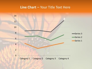 Garden Nature Closeup PowerPoint Template