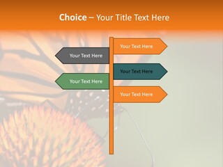 Garden Nature Closeup PowerPoint Template