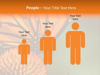 Garden Nature Closeup PowerPoint Template