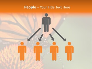 Garden Nature Closeup PowerPoint Template