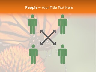 Garden Nature Closeup PowerPoint Template