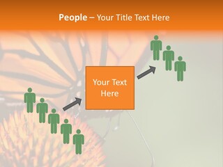 Garden Nature Closeup PowerPoint Template