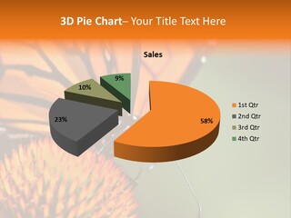 Garden Nature Closeup PowerPoint Template