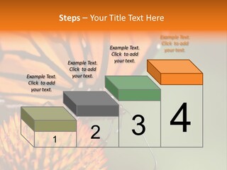 Garden Nature Closeup PowerPoint Template