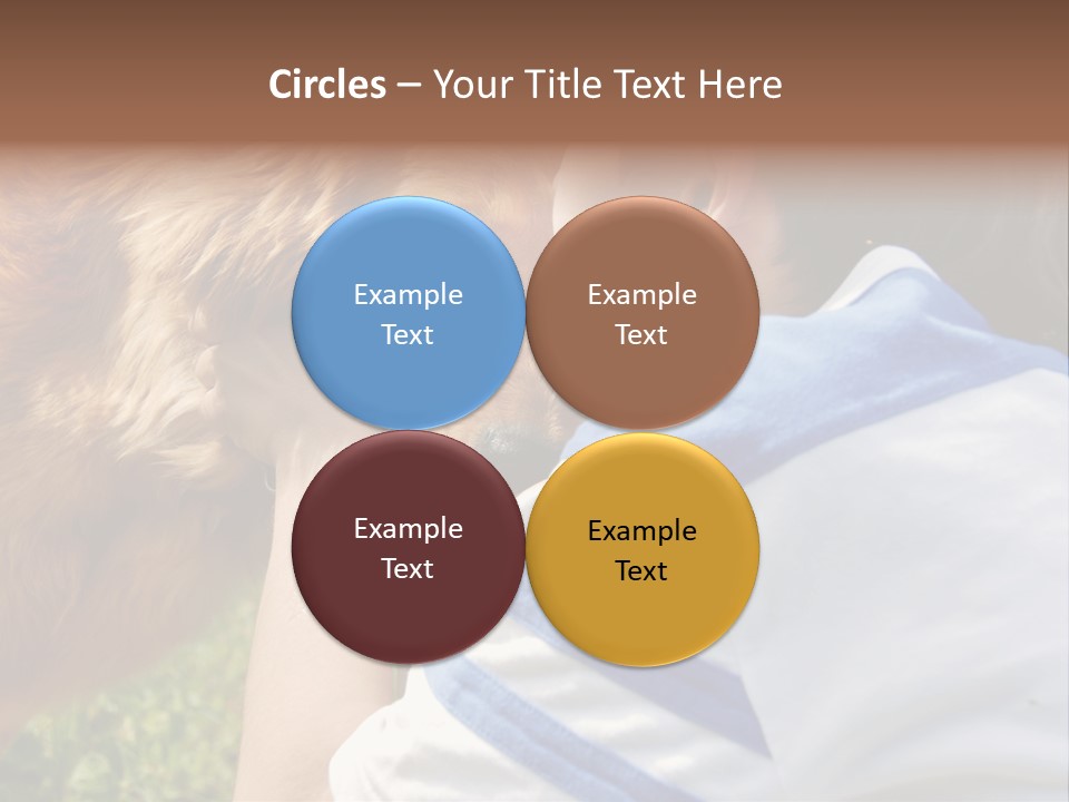 Caucasian Eye Fur PowerPoint Template