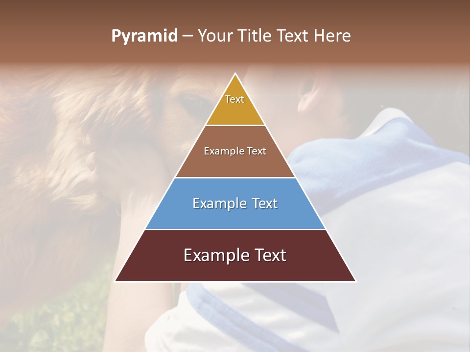 Caucasian Eye Fur PowerPoint Template