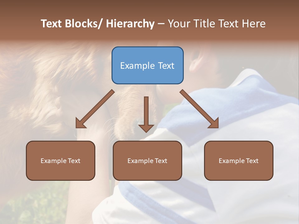 Caucasian Eye Fur PowerPoint Template