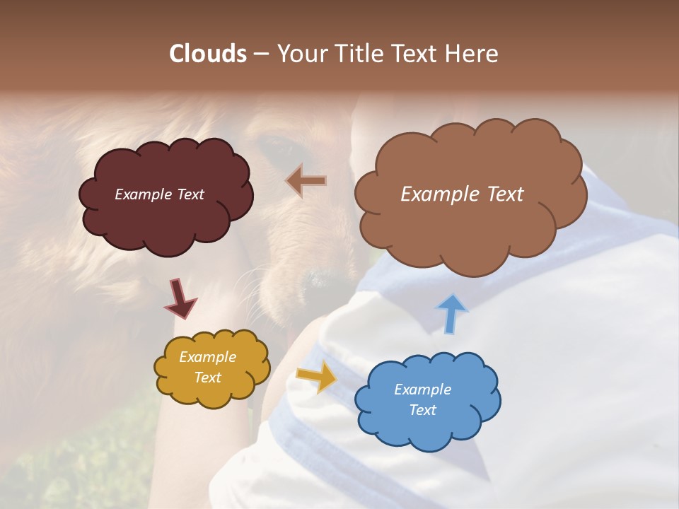 Caucasian Eye Fur PowerPoint Template