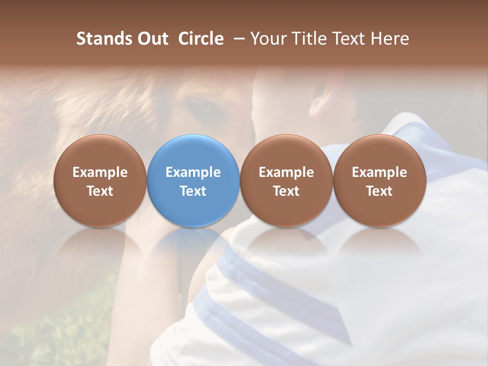 Caucasian Eye Fur PowerPoint Template