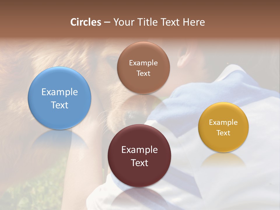 Caucasian Eye Fur PowerPoint Template