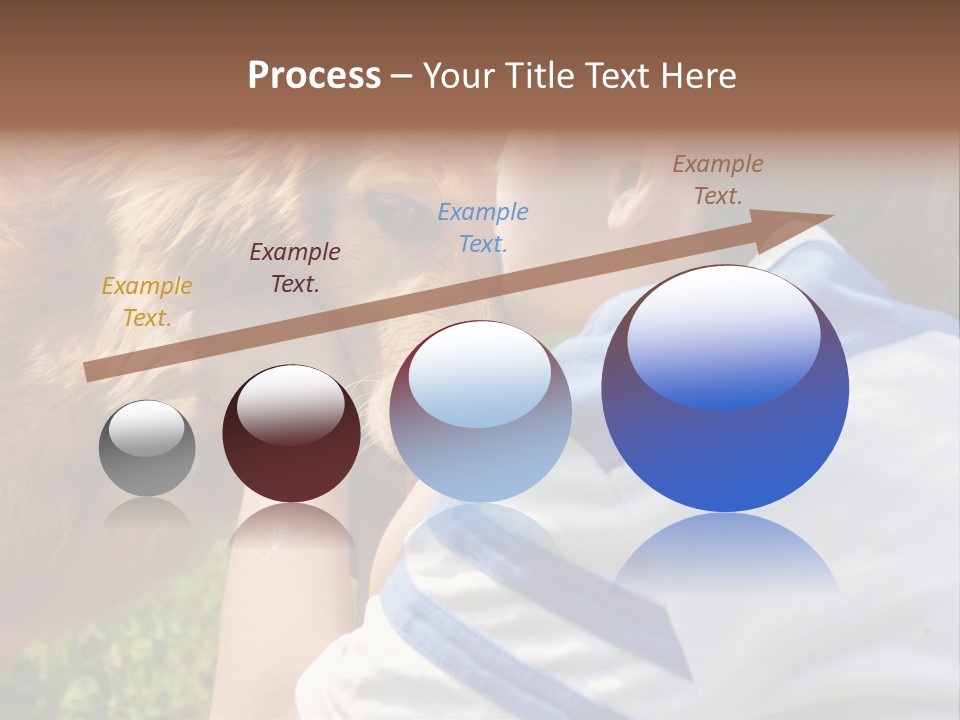 Caucasian Eye Fur PowerPoint Template